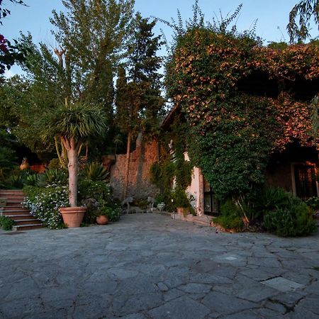 Villa Le Palme Форио Экстерьер фото