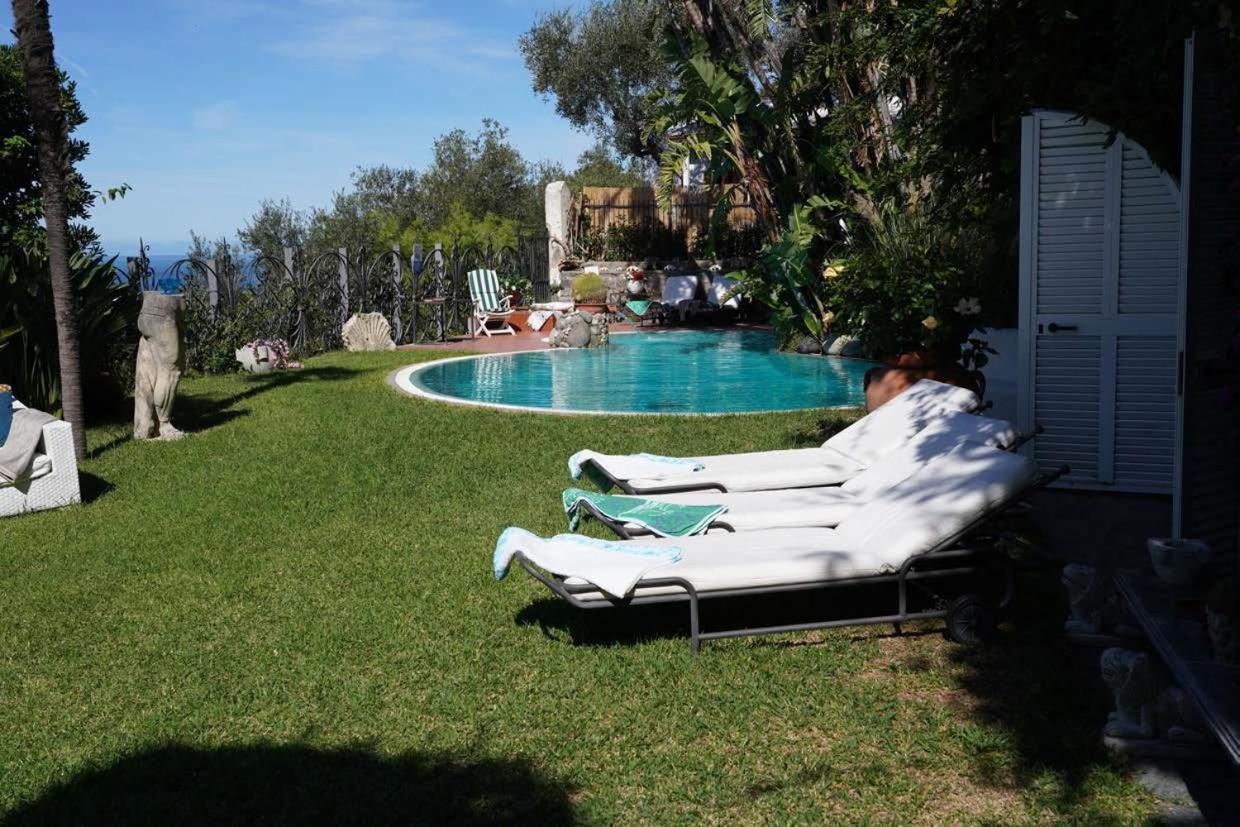 Villa Le Palme Форио Экстерьер фото
