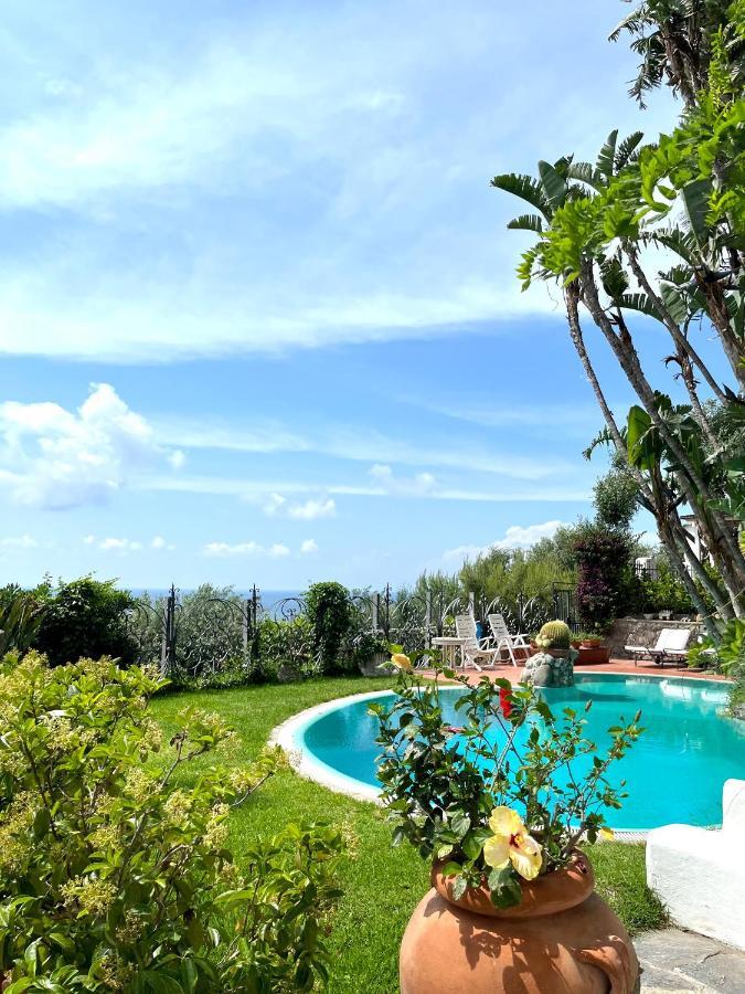 Villa Le Palme Форио Экстерьер фото