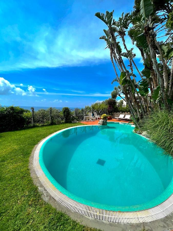 Villa Le Palme Форио Экстерьер фото