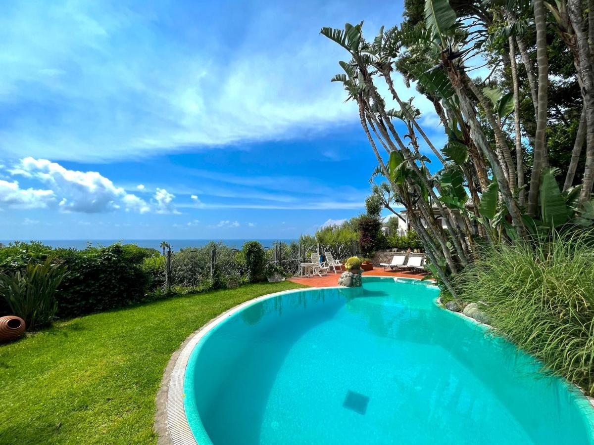 Villa Le Palme Форио Экстерьер фото