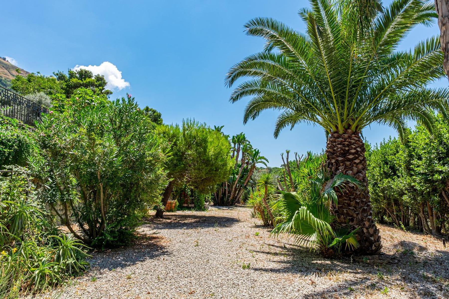 Villa Le Palme Форио Экстерьер фото