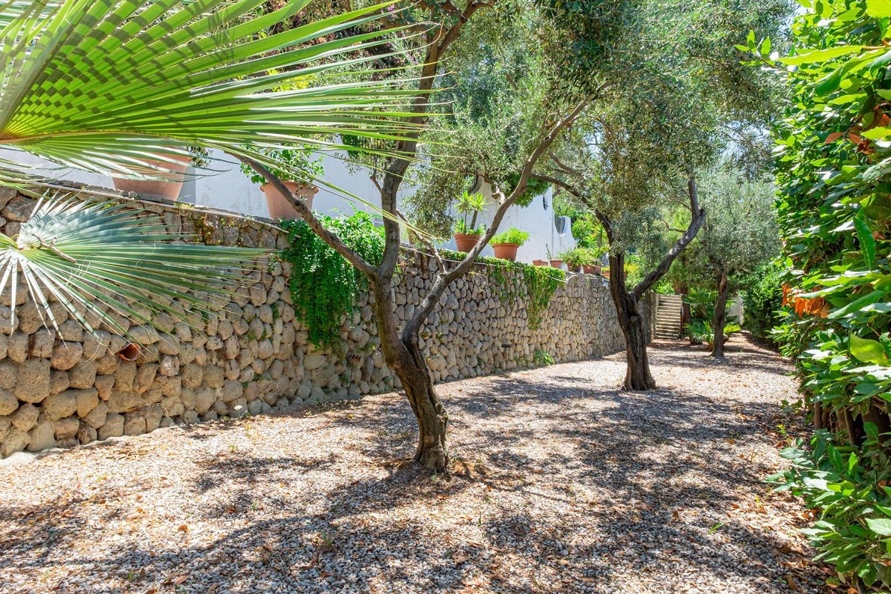Villa Le Palme Форио Экстерьер фото